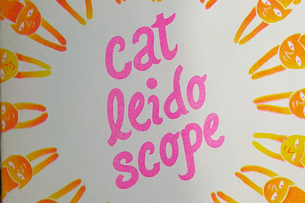 Catleidoscope